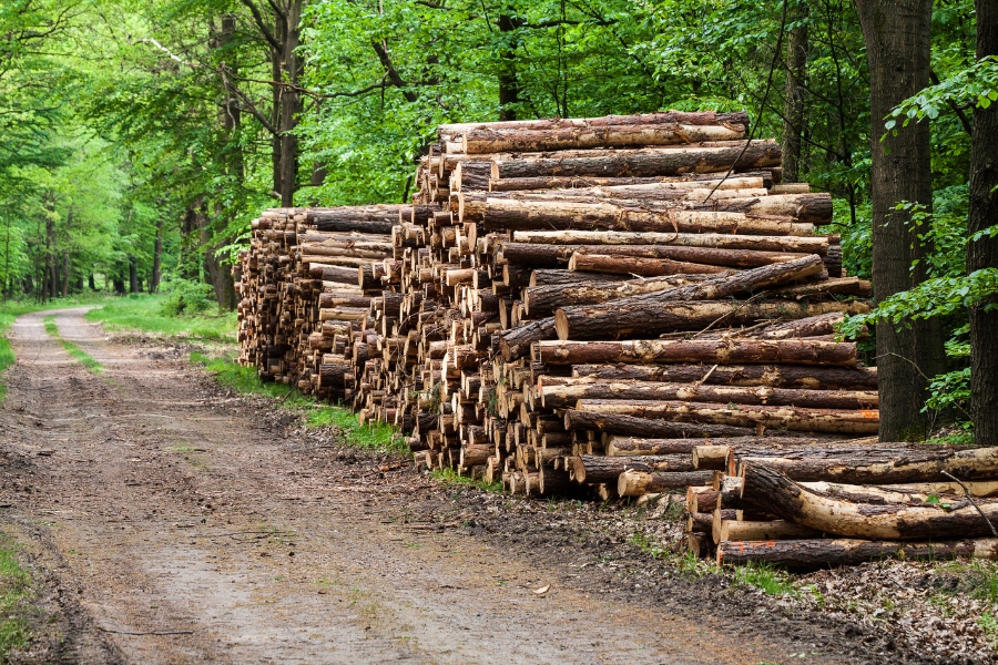 Oferta desek elewacyjnych KoraGil